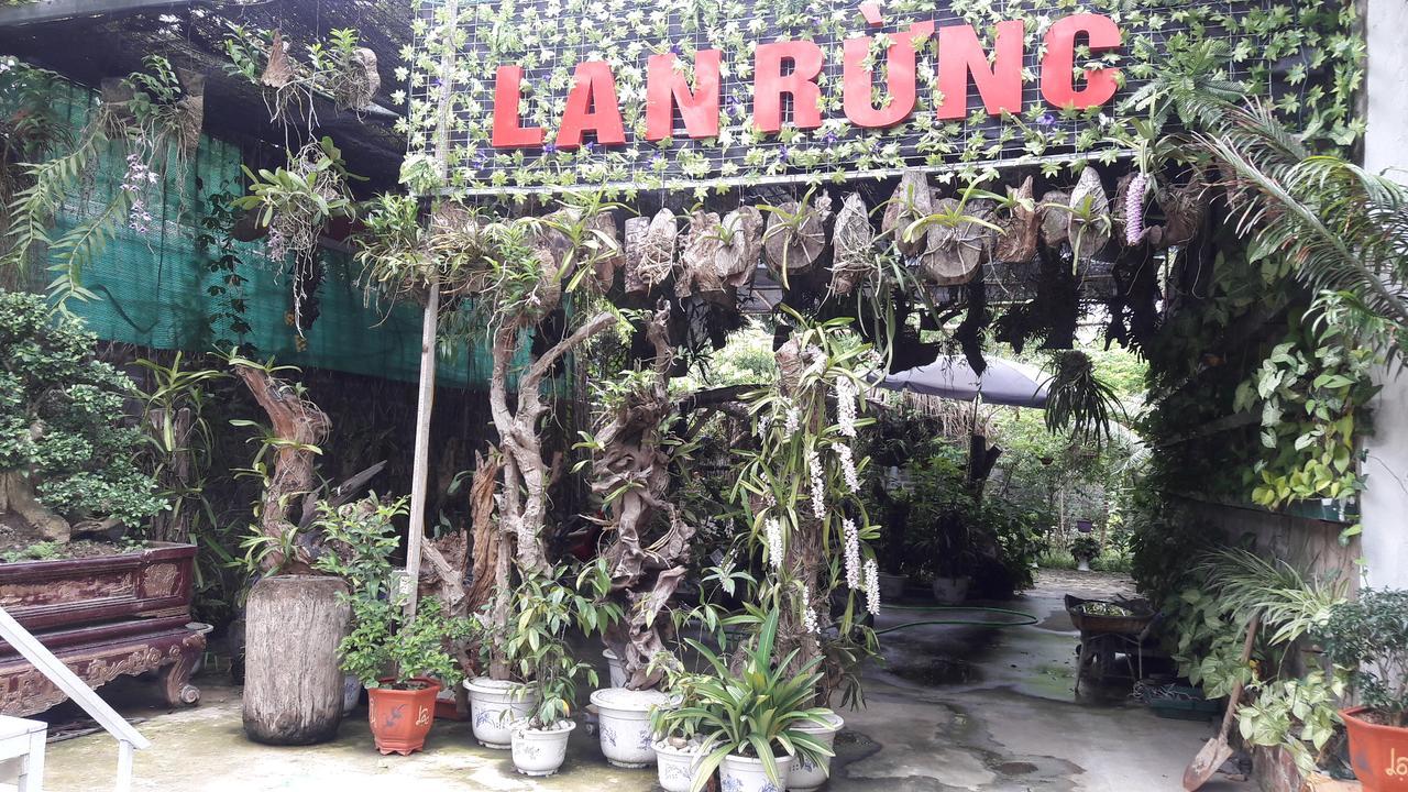 Homestay Lan Rung Nghia Lo Exterior photo